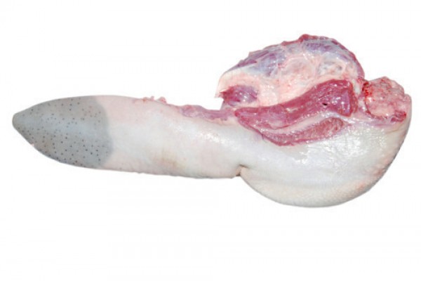 Frozen Beef Tongue - BELLO ALIMENTOS LTDA