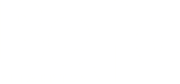 BELLO ALIMENTOS LTDA
